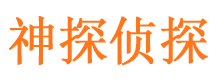 田阳市调查取证